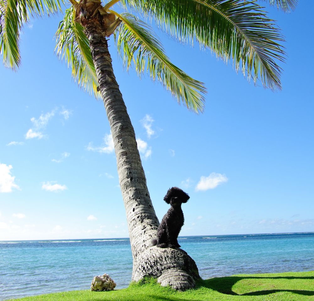 Question of the Week